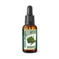 GHF Pissenlit 60ml