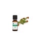 Voshuiles Huile Essentielle De Pruche Du Canada (Tsuga) 5ml