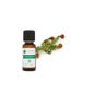 Voshuiles Huile Essentielle De Pruche Du Canada (Tsuga) 5ml