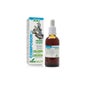 Compositeur 21 Xxi Complexe d'Obestane Soria N