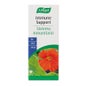 A.Vogel Immune Support 30comp
