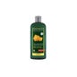 Logona Shampooing Volumateur 500ml