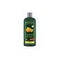 Logona Shampooing Volumateur 500ml