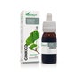 Extracto Ginkgo 50 Ml Xxi Soria Natural *