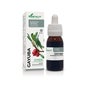 Extracto Gayuba Xxi 50 Ml Soria Natural *