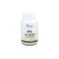 Griffe de chat de Plantapol 90 Cpr