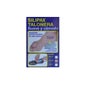 Coussin de talon Silipax Taille M 38-40