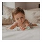 Suavinex Premium Silicone Soother +4m