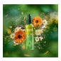 Weleda Skin Food Huile Sèche Sublimatrice 100 ml