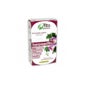 Fito Premium - Harpagofito - Pinisan - 30 Capsules