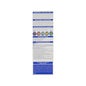 Phyto Phytocolor Couleur Soin 7D Blond Doré 1 kit