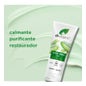 Gel d'aloe vera bio à l'arbre à thé 200 ml