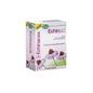 Echinaid Haute Puissance 60Cps
