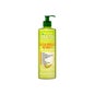 Garnier Fructis Smooth & Shine 10 in 1 Crème sans rinçage 400ml