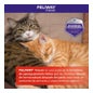 Feliway Friends Parfum Intérieur Recharge 48ml