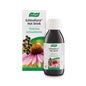 Echinaforce Hotdrink 100ml *