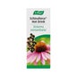 Echinaforce Hotdrink 100ml *