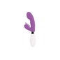 Lapin Glossy Elvis Lilas