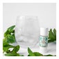 Valdispharm Eau Exquise L'Infusion Menthe Eau Aromatisée 10ml