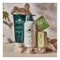 Shampooing solide Dr. Tree 2 en 1 à usage fréquent 75g
