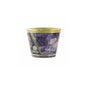 Shunga Bougie Massage 170ml Fuits Exoti