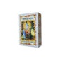 Radhe Shyam Henné Quinquina Fort Fort Powder 100g