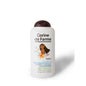 Corine de Farme Vaiana Shampoo 2 em 1 Nutritivo 300ml Corine de Farme Vaiana Shampoo 2 em 1 Nutritivo 300ml