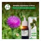 Soria Natural Ext. Glycérine de bardane XXL 50ml