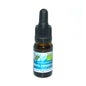 El Oro de los Andes Huile Essentielle Sauge Espagnol Bio 10ml