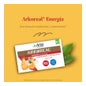 Arkopharma Arkoreal Gelée Royale + Ginseng 20 Ampoules