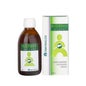 Internature Bilidren-h Sirop 250ml