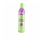 Garnier Fructis Style Perfect Mousse Hydratante 300ml