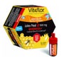 Vitaflor Gelée Royale Énergie 20 ampoules