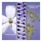Melvita Nectar Sublime Crème Velours Redensifiante Bio 50ml