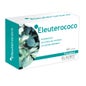Phytotablet eleutherococcus 60comp