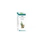 Bio Huile Essentielle Cyprès 10ml