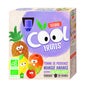 BabyBio Pack Cool Fruits Pomme Mangue Ananas 4x90g
