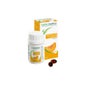 Naturactive Pépins de Courge 60 gélules