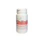 Ayurveda Shilajit 60cap *