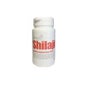 Ayurveda Shilajit 60cap *