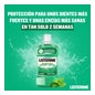 Listerine Bain de bouche Dents et gencives Bain de bouche à la menthe 2X1000ml