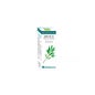 Huile Essentielle Bio Arbre à Thé 10ml