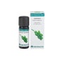Huile Essentielle BIO Basilic 10ml