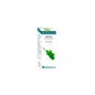 Huile Essentielle BIO Basilic 10ml