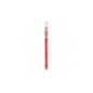 Loreal Lip Liner Couture Couture Color Riche Lip Liner 461