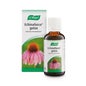 Echinaforce™ a obtenu 50ml