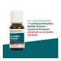 La Compagnie Des Sens Circulation Veineuse Solution Buvable 15ml