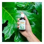 Puressentiel Huile Végétale Vanille 50ml