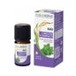 Naturactive Huile Essentielle Bio Origan Compact 5ml