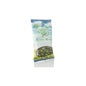 Vara De Oro (solidago)  45 Gr *